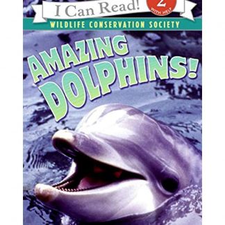 Amazing dolphins!