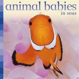 Animal babies in seas