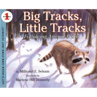 Big Tracks,Little Tracks