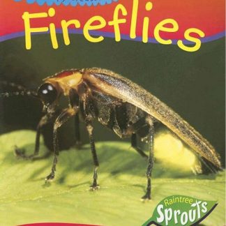 Creepy Creatures Fireflies