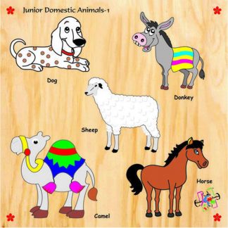 Domestic Animals