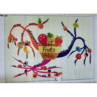 Fruits-basket