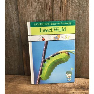 Insect World