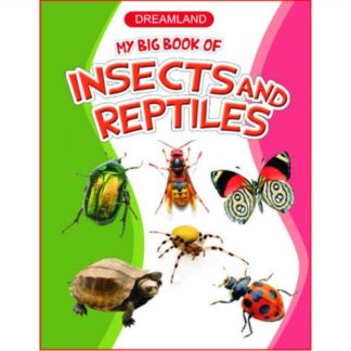 My big book of insects and reptiles