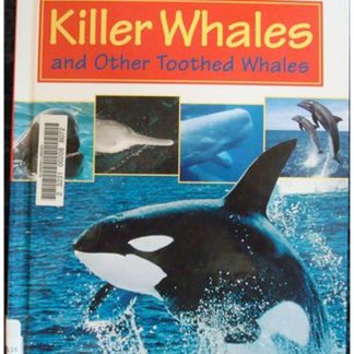 Killer Whales And Other Toothed Whales