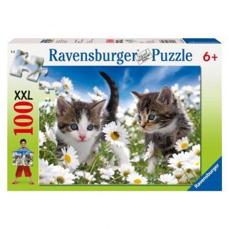 Kitties & Daisies