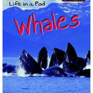 Life in a pod whales