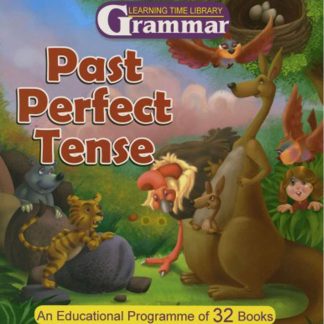 Past Perfect Tense