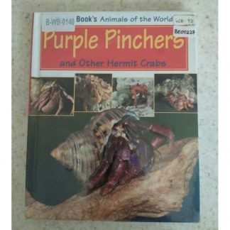 Purple Pinchers And Other Hermit Crabs