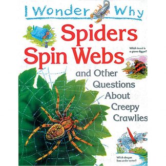 Spiders Spin Webs