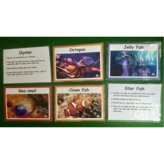 Water Animals