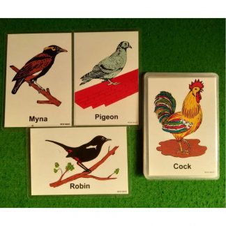 Birds