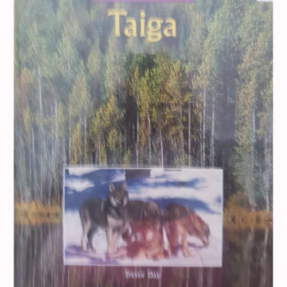 Taiga