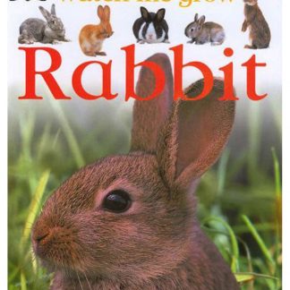 Watch Me Grow Rabbit