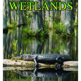 Wetlands