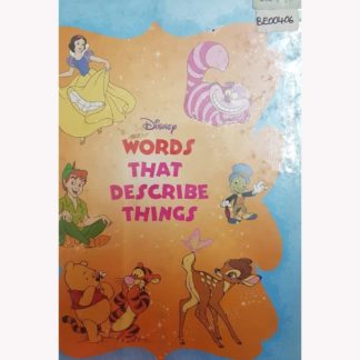 Words That Describe Things