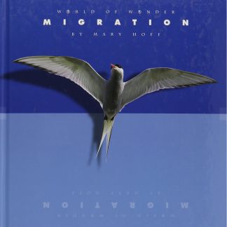 Migration