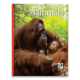 Mammals