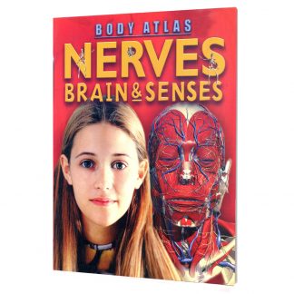 Nerves Brain & Senses