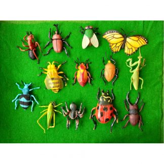 Insects