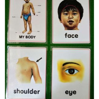 Body Parts Jumbo