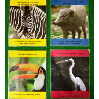 Facts on Animals and Birds Jumbo