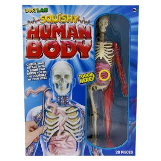 Squishy Human body