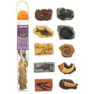 Ancient Fossils