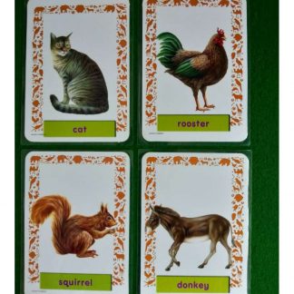 Animals
