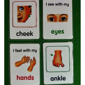 Body Parts
