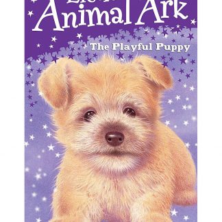 The Playful Puppy