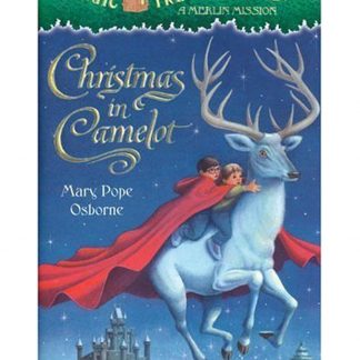 Christmas In Camelot