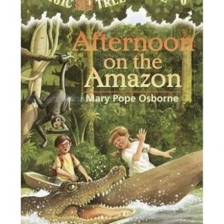 Afternoon On The Amazon