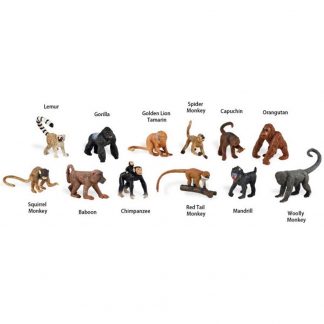 Monkeys and Apes