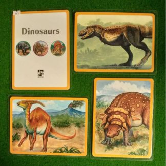 Dinosaurs flash Card Game