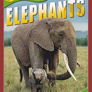 Elephants