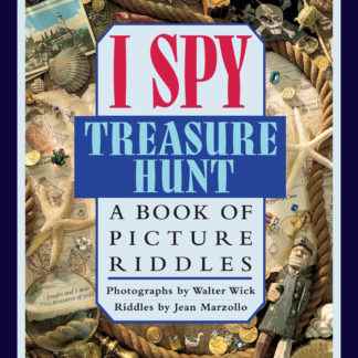 I Spy Treasure Hunt A Book Of Picture Riddles