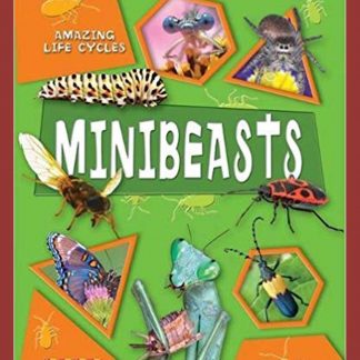 Minibeasts