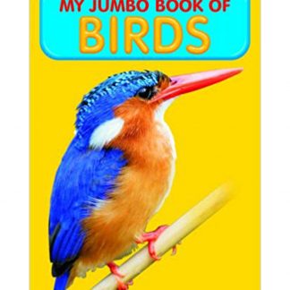 My Jumbo Book Of Birds