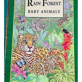 Rain Forest Baby Animals