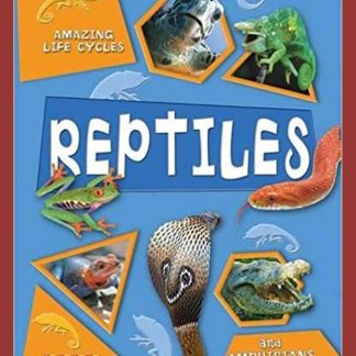 Reptiles