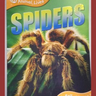 Spiders