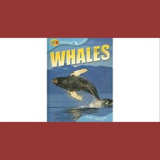 Whales