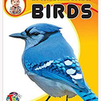 my cute board book of birds