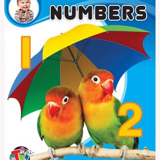 My cute Board book of numbers