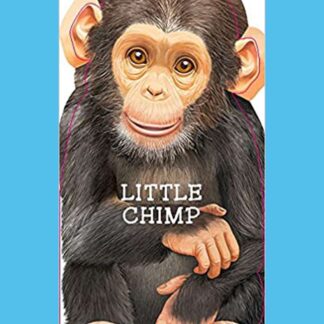 Little Chimp