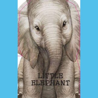 Little elephnat