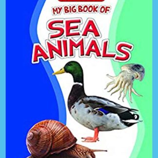 My big book of sea animals