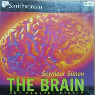 The Brain