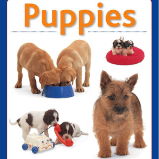 Puppies A Very First Picture Book